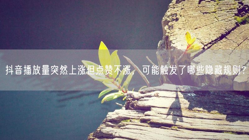 抖音播放量突然上涨但点赞不涨，可能触发了哪些隐藏规则？