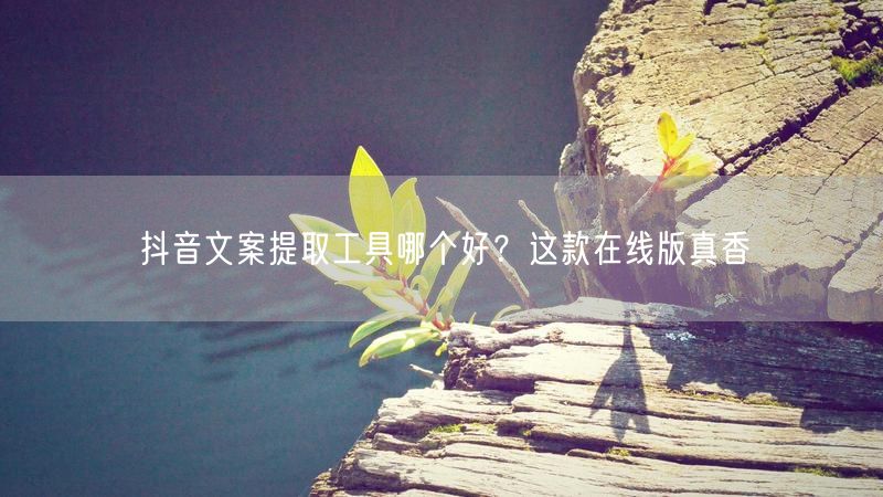 抖音文案提取工具哪个好？这款在线版真香