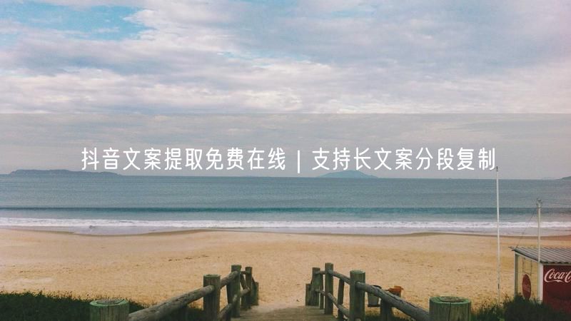 抖音文案提取免费在线｜支持长文案分段复制