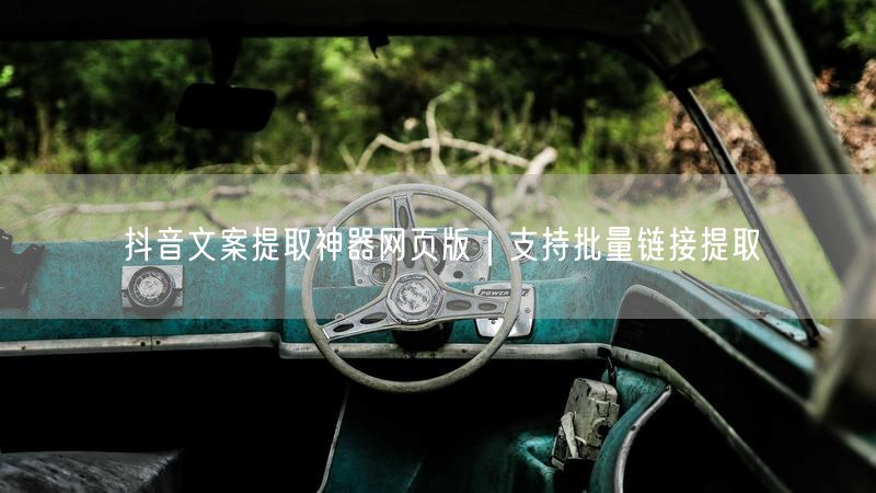 抖音文案提取神器网页版｜支持批量链接提取