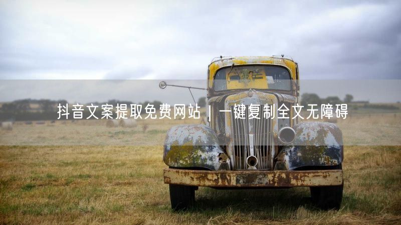 抖音文案提取免费网站｜一键复制全文无障碍