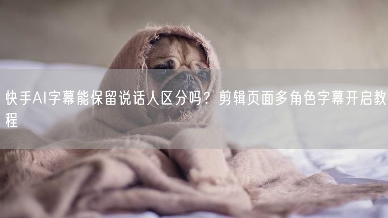 快手AI字幕能保留说话人区分吗？剪辑页面多角色字幕开启教程