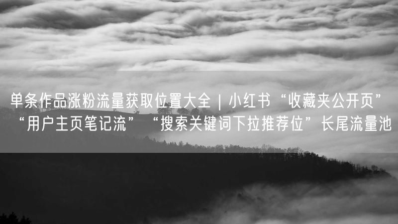 单条作品涨粉流量获取位置大全｜小红书“收藏夹公开页”“用户主页笔记流”“搜索关键词下拉推荐位”长尾流量池