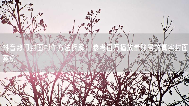 抖音热门封面制作方法拆解：参考百万播放量账号的真实封面案例
