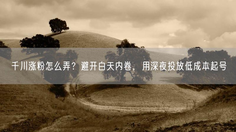 千川涨粉怎么弄？避开白天内卷，用深夜投放低成本起号