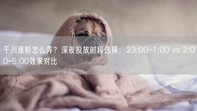 千川涨粉怎么弄？深夜投放时段选择：23:00–1:00 vs 2:00–5:00效果对比