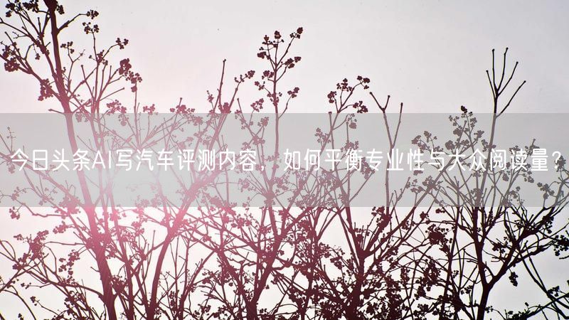 今日头条AI写汽车评测内容，如何平衡专业性与大众阅读量？
