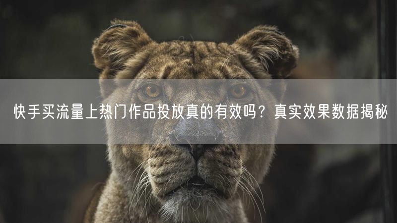 快手买流量上热门作品投放真的有效吗？真实效果数据揭秘