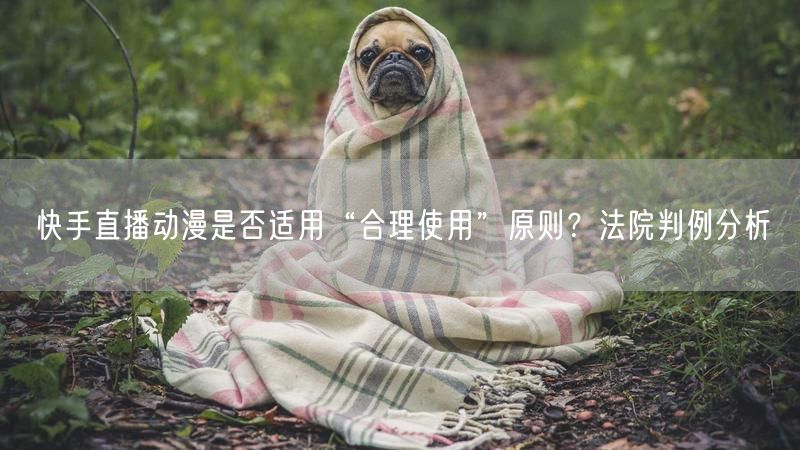 快手直播动漫是否适用“合理使用”原则？法院判例分析