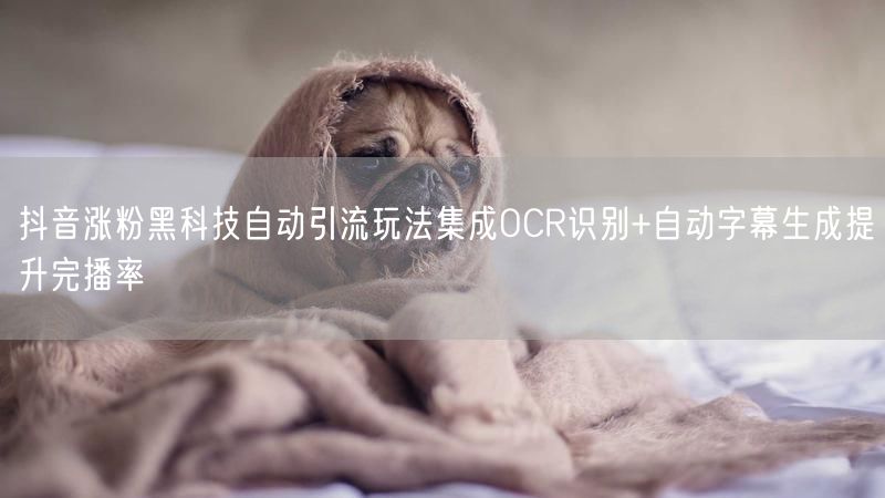 抖音涨粉黑科技自动引流玩法集成OCR识别+自动字幕生成提升完播率