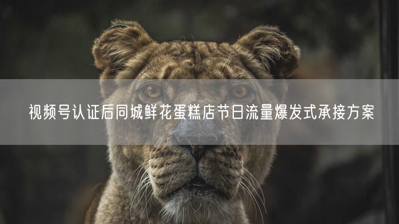视频号认证后同城鲜花蛋糕店节日流量爆发式承接方案