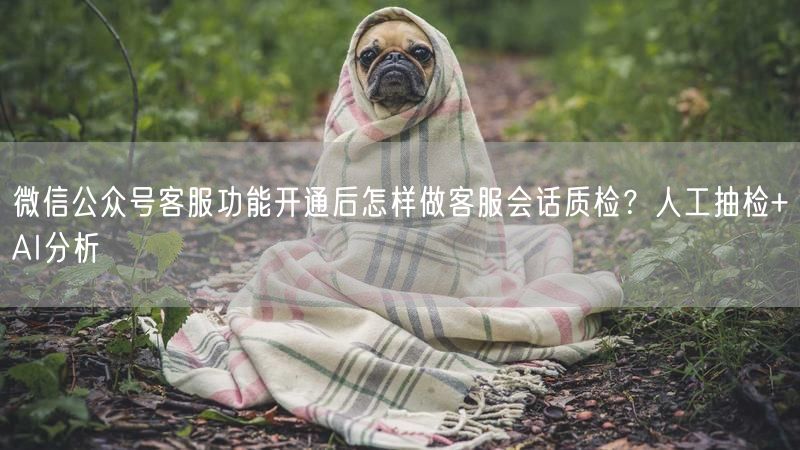 微信公众号客服功能开通后怎样做客服会话质检？人工抽检+AI分析