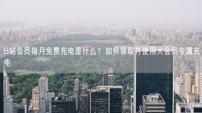 B站会员每月免费充电是什么？如何领取并使用大会员专属充电