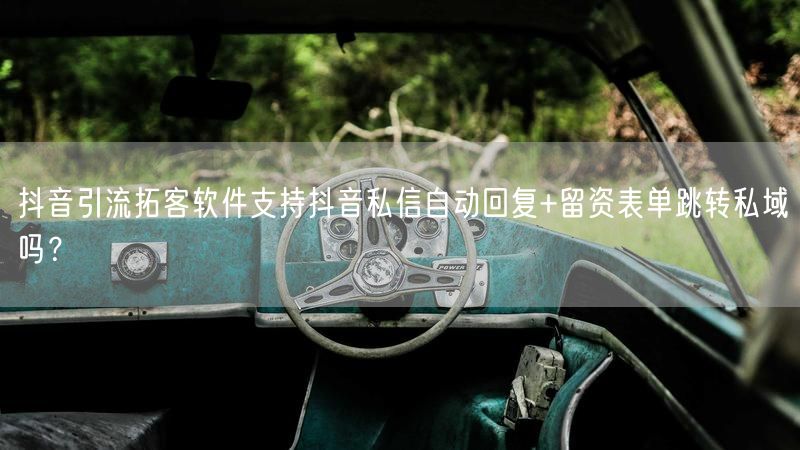 抖音引流拓客软件支持抖音私信自动回复+留资表单跳转私域吗？