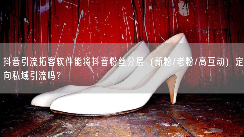 抖音引流拓客软件能将抖音粉丝分层（新粉/老粉/高互动）定向私域引流吗？
