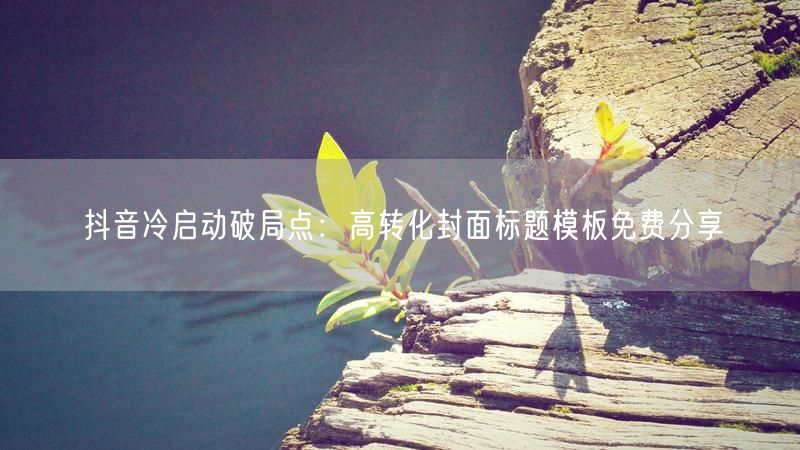 抖音冷启动破局点：高转化封面标题模板免费分享