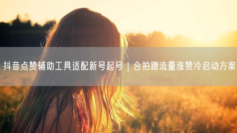 抖音点赞辅助工具适配新号起号｜合拍蹭流量涨赞冷启动方案