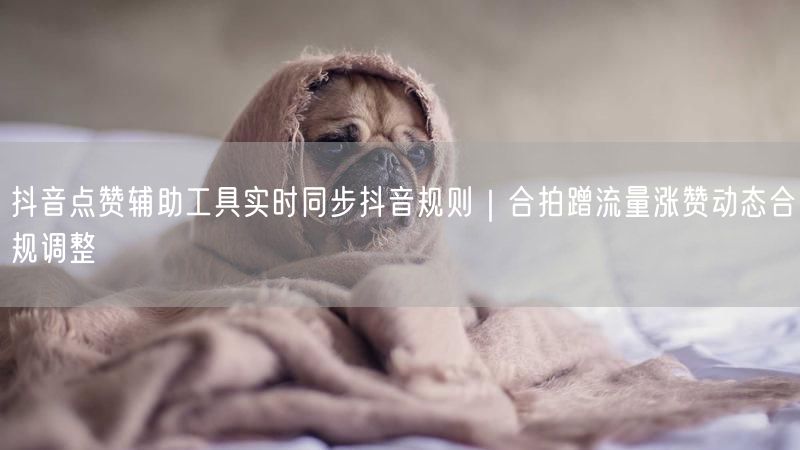 抖音点赞辅助工具实时同步抖音规则｜合拍蹭流量涨赞动态合规调整