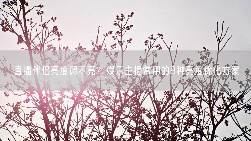 直播伴侣亮度调不亮？娱乐主播常用的8种亮度优化方案