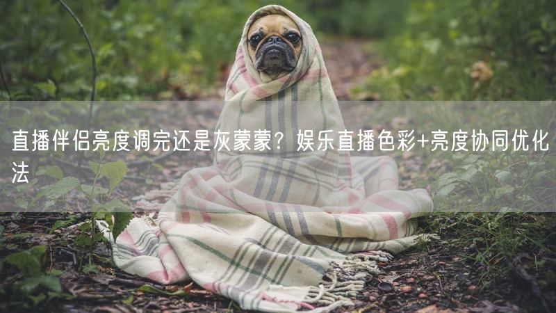 直播伴侣亮度调完还是灰蒙蒙？娱乐直播色彩+亮度协同优化法