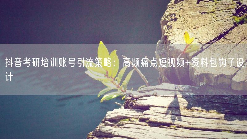 抖音考研培训账号引流策略：高频痛点短视频+资料包钩子设计