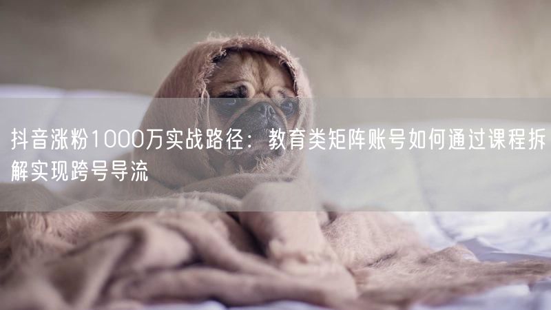 抖音涨粉1000万实战路径：教育类矩阵账号如何通过课程拆解实现跨号导流