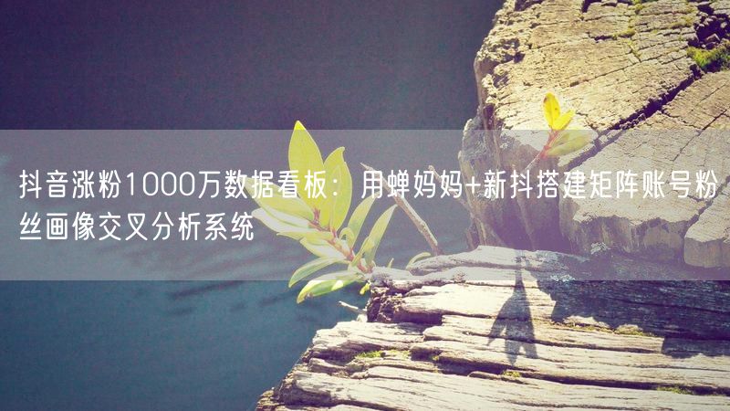 抖音涨粉1000万数据看板：用蝉妈妈+新抖搭建矩阵账号粉丝画像交叉分析系统