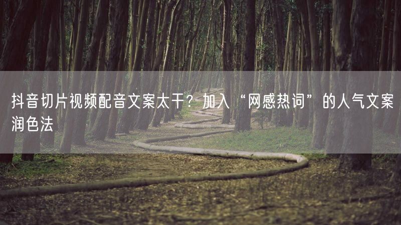 抖音切片视频配音文案太干？加入“网感热词”的人气文案润色法