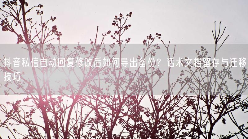 抖音私信自动回复修改后如何导出备份？话术文档留存与迁移技巧
