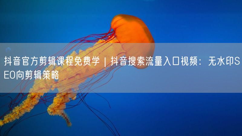 抖音官方剪辑课程免费学｜抖音搜索流量入口视频：无水印SEO向剪辑策略