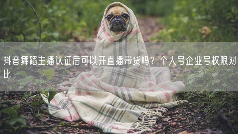 抖音舞蹈主播认证后可以开直播带货吗？个人号企业号权限对比
