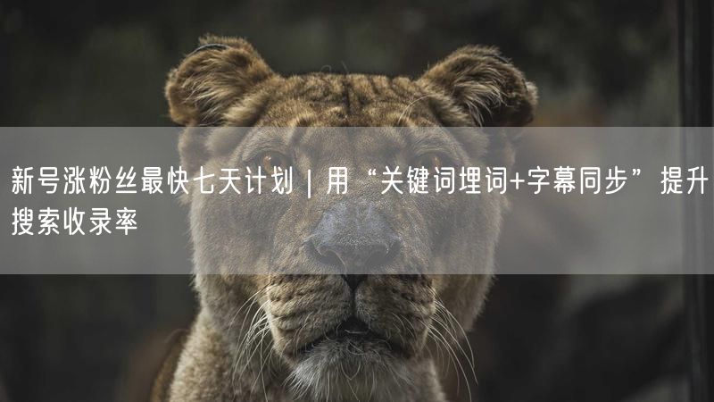 新号涨粉丝最快七天计划｜用“关键词埋词+字幕同步”提升搜索收录率